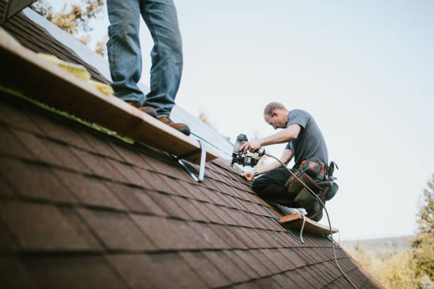 Quick and Trustworthy Emergency Roof Repair Services in Reeds Spring, MO